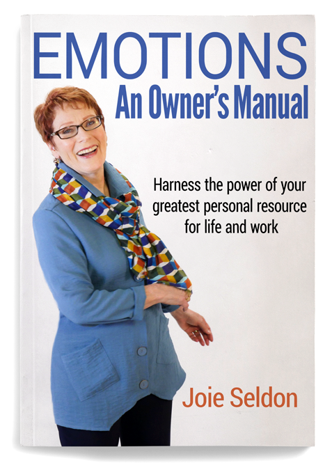 emotions-an-owners-manual-by-joie-seldon-website